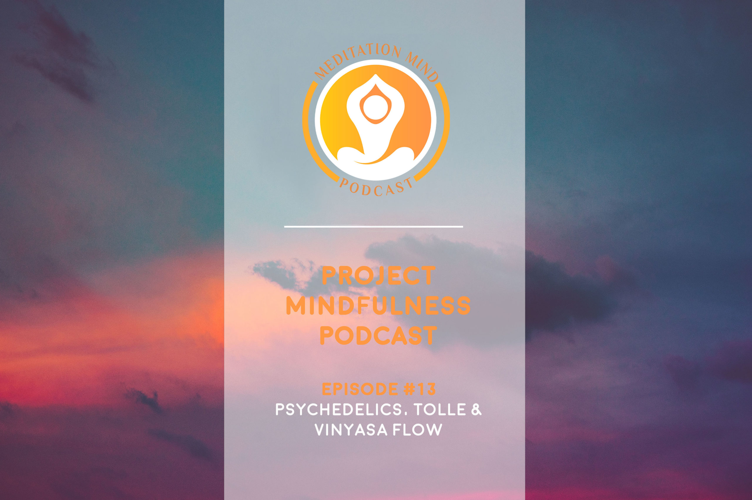 We talk about the use of psychedelics for discovering ourselves, the impact of Eckhart Tolle and Vinyasa Yoga