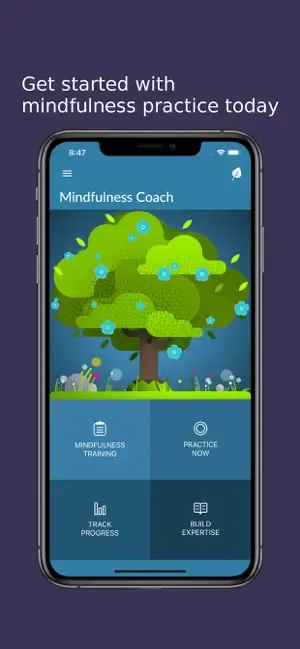 va mindfulness coach 1